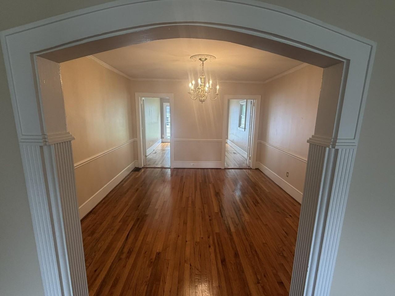 213 Haynsworth St - Photo 7 of 37