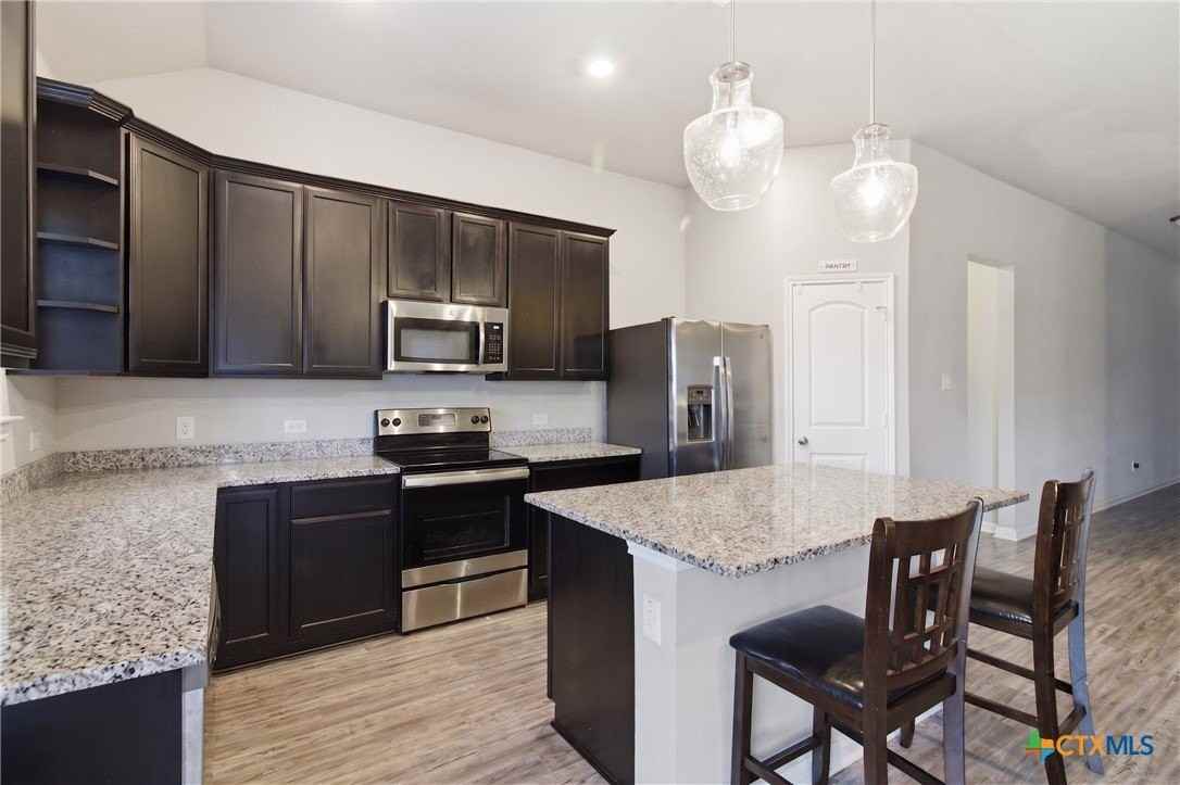 1207 Amber Dawn Dr - Photo 4 of 21