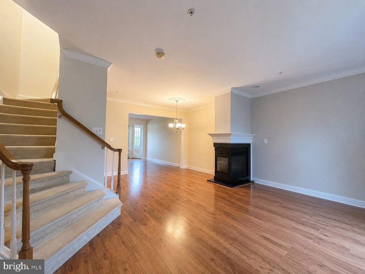 9674 Ethan Ridge Dr - Photo 4 of 43