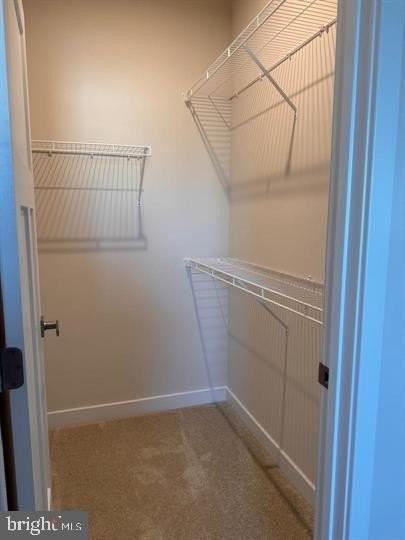 66 Glory Maple Ln - Photo 4 of 24