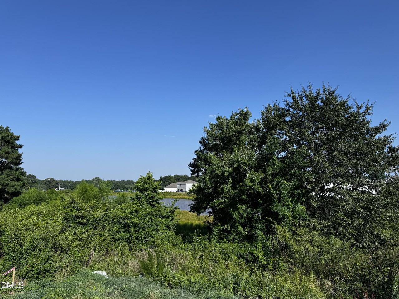 62 Thistle Patch Pl - Photo 5 of 20