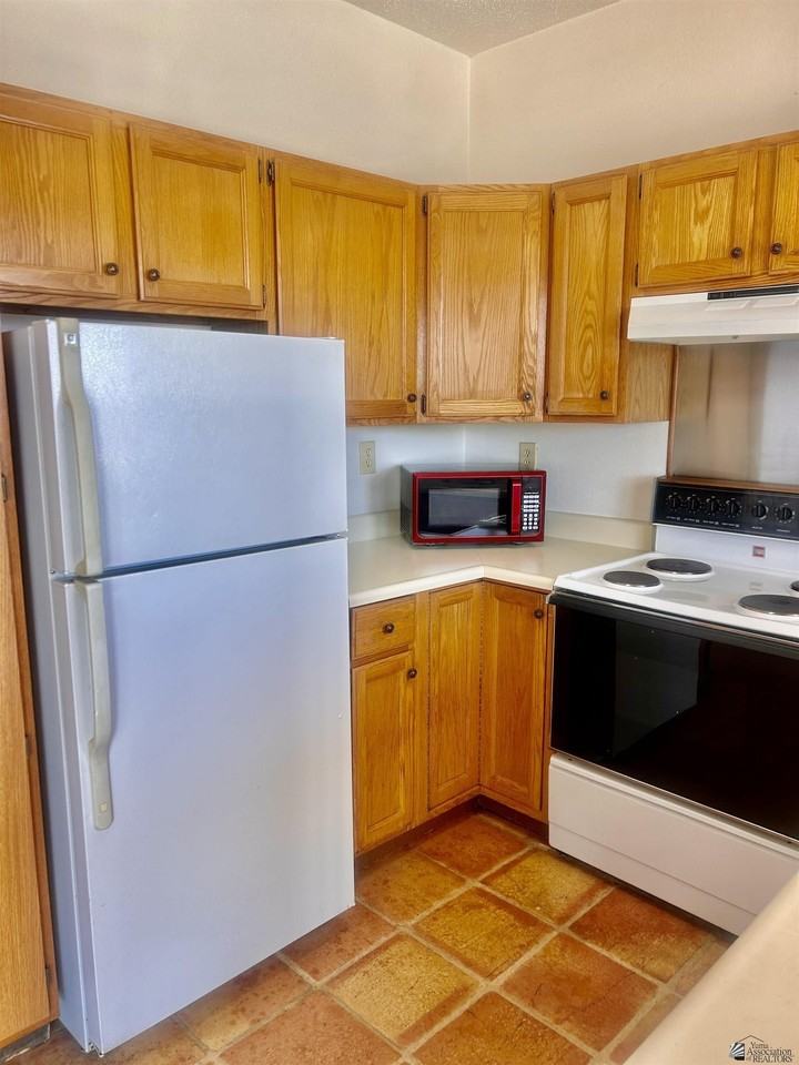 12255 S El Camino Del Diablo - Photo 2 of 23