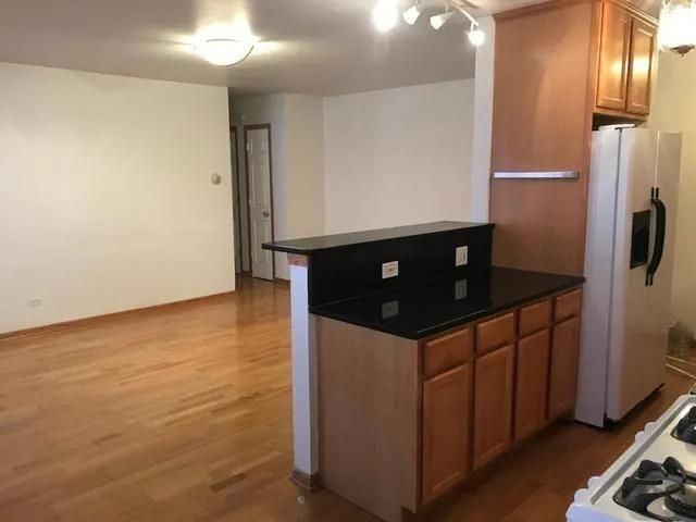 313 Elgin Ave ##203 - Photo 4 of 10