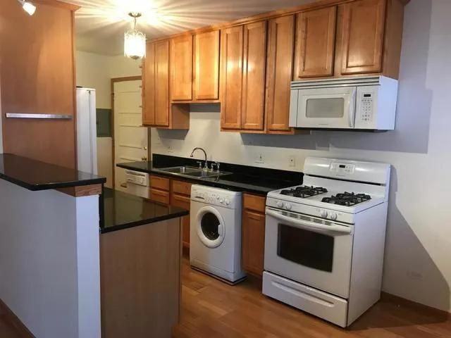 313 Elgin Ave ##203 - Photo 5 of 10