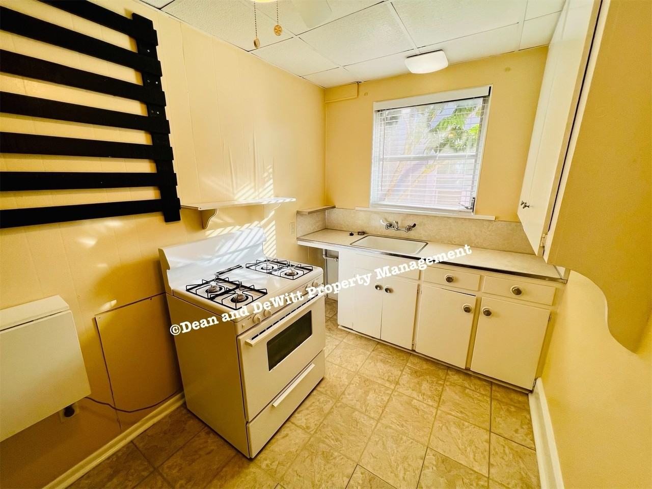 1233 Oak St Ne #7 - Photo 5 of 14