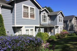 featured image of 803 Blueberry Ln