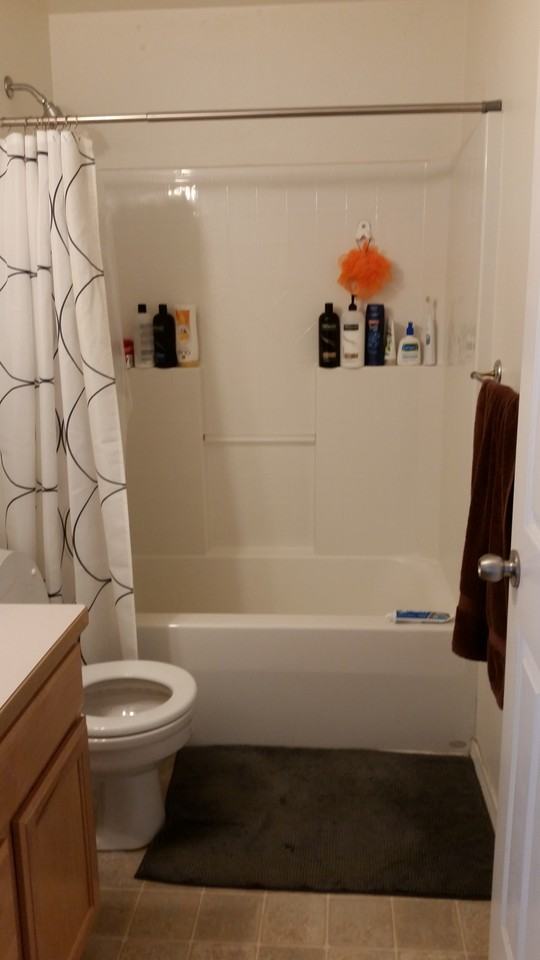 803 Blueberry Ln - Photo 6 of 12
