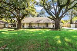 featured image of 320 Lippi Blvd
