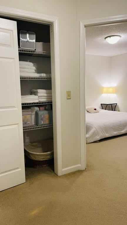 1129 Miller Dr - Photo 3 of 20