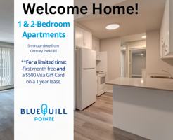 featured image of 11615 28 Ave Nw