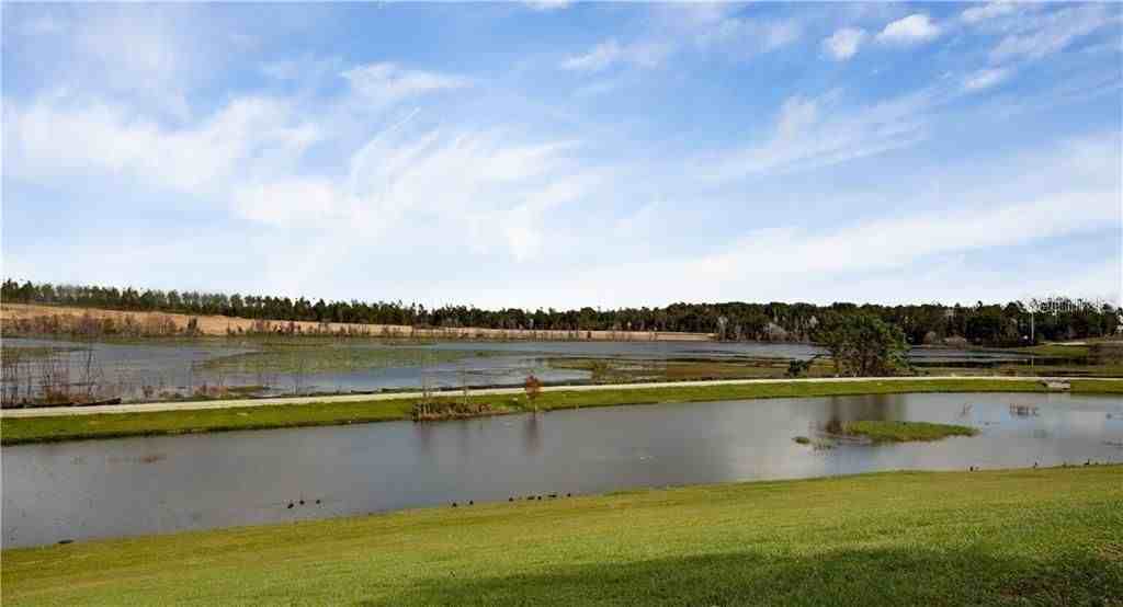 2926 Black Birch Dr - Photo 4 of 40