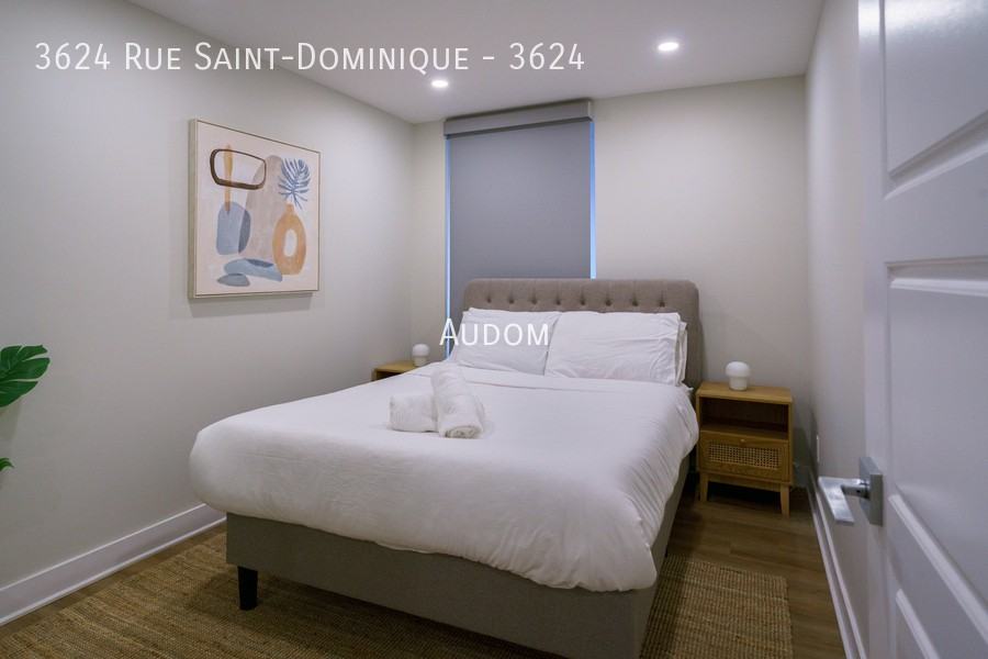 3624 Rue Saint-Dominique #3624 - Photo 3 of 11