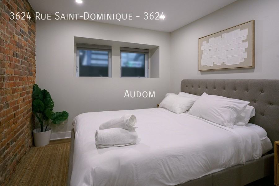 3624 Rue Saint-Dominique #3624 - Photo 4 of 11