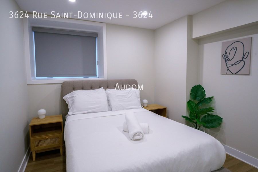 3624 Rue Saint-Dominique #3624 - Photo 5 of 11
