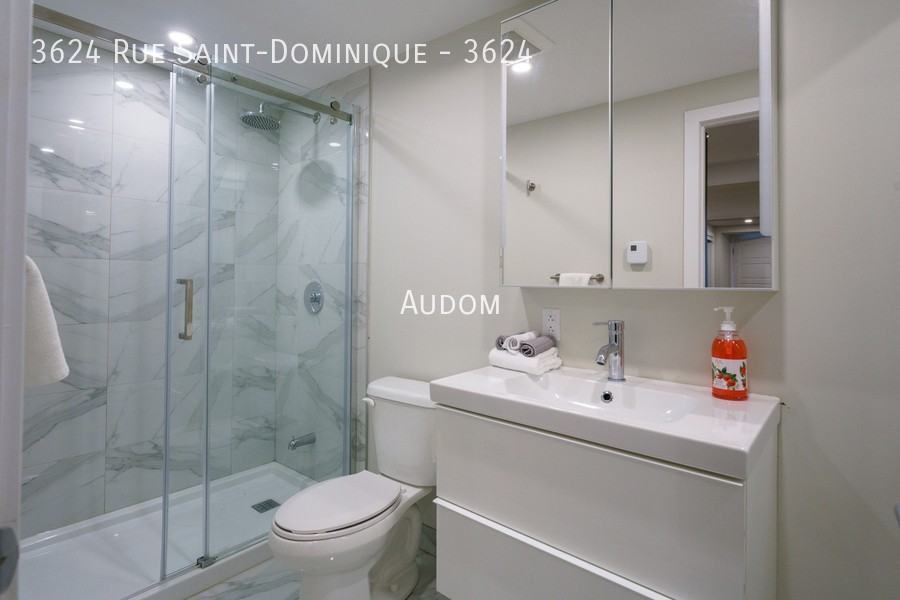 3624 Rue Saint-Dominique #3624 - Photo 7 of 11