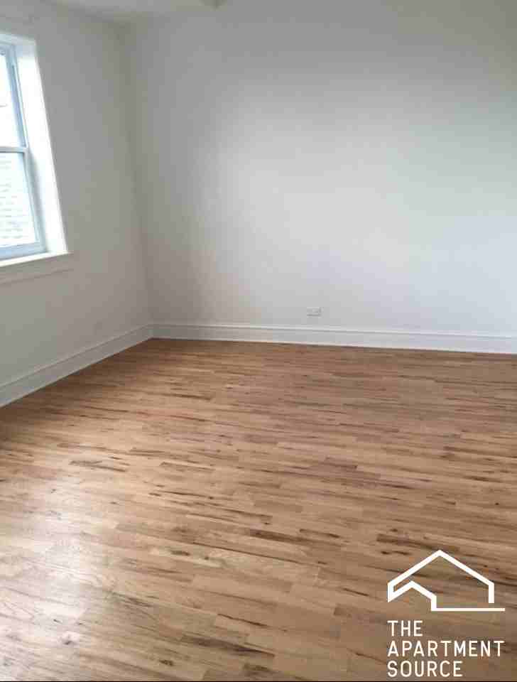 1659 S Throop St #2W - Photo 5 of 12