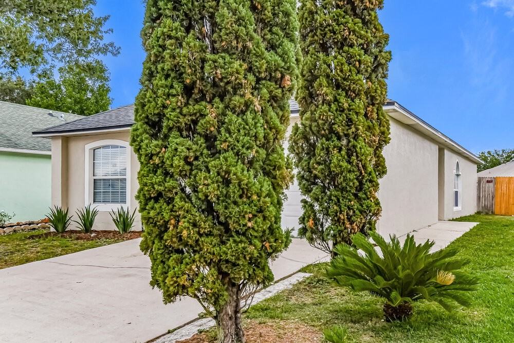 3347 Net Ct - Photo 3 of 19
