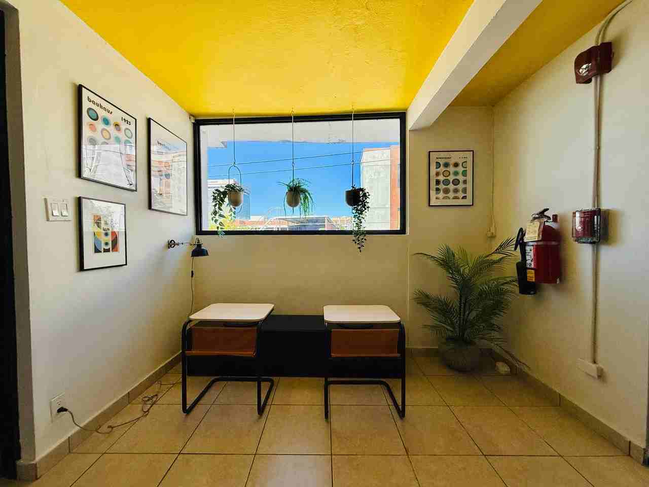 10 Calle Domingo Marrero #7 - Photo 4 of 15