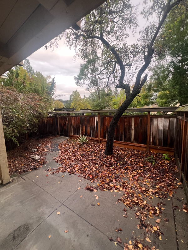 1020 Dolores St #2 - Photo 6 of 8