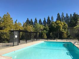 featured image of 1020 Dolores St #2