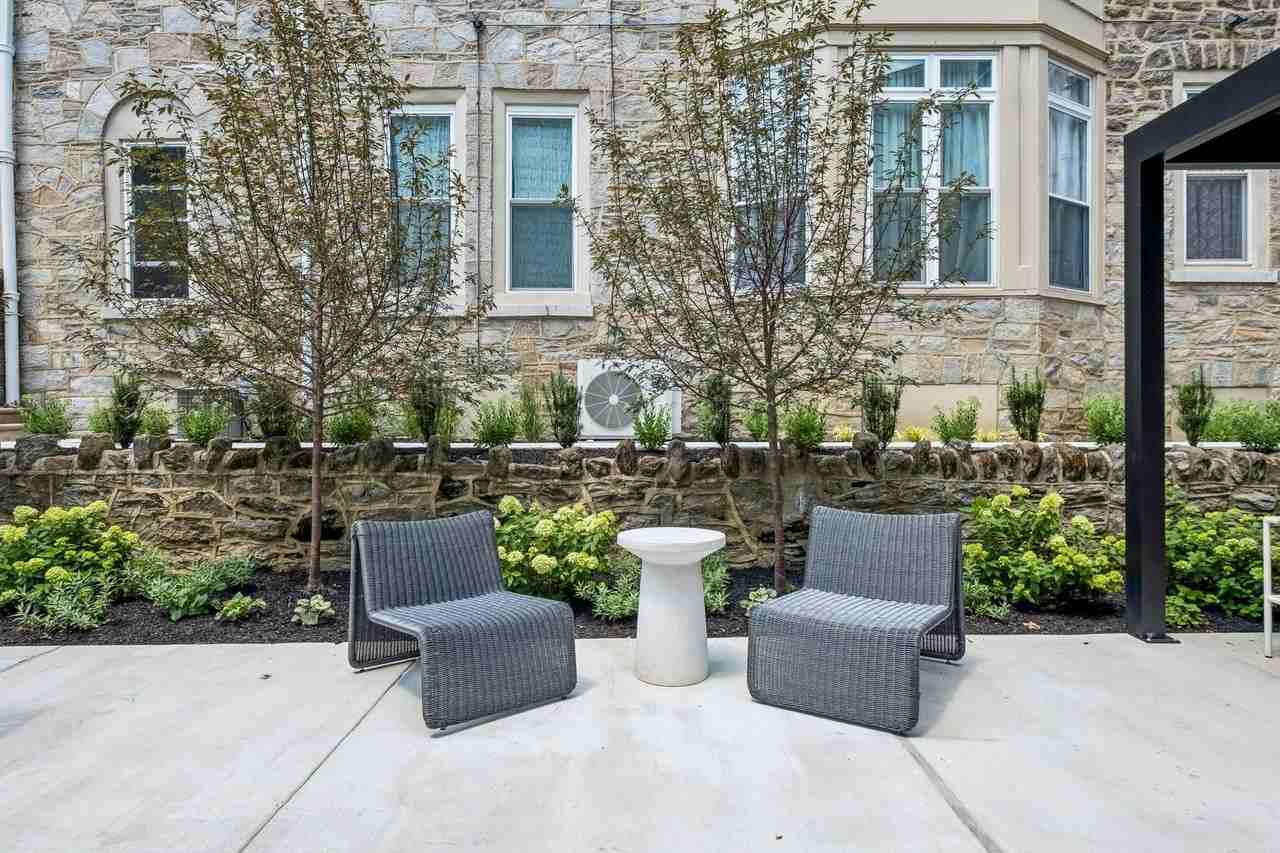 The Ivy - Photo 5 of 50