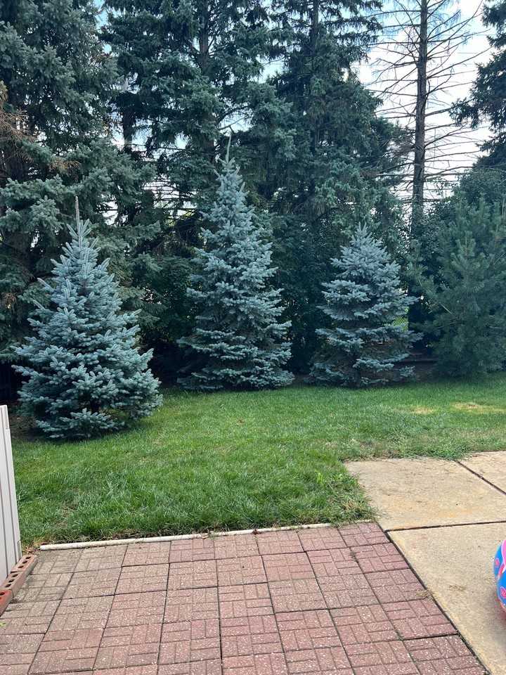 1103 E Ardyce Ln - Photo 6 of 18