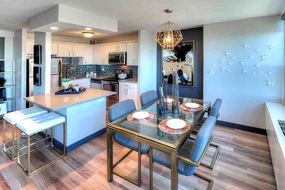 1120 S Michigan Ave - Photo 2 of 15