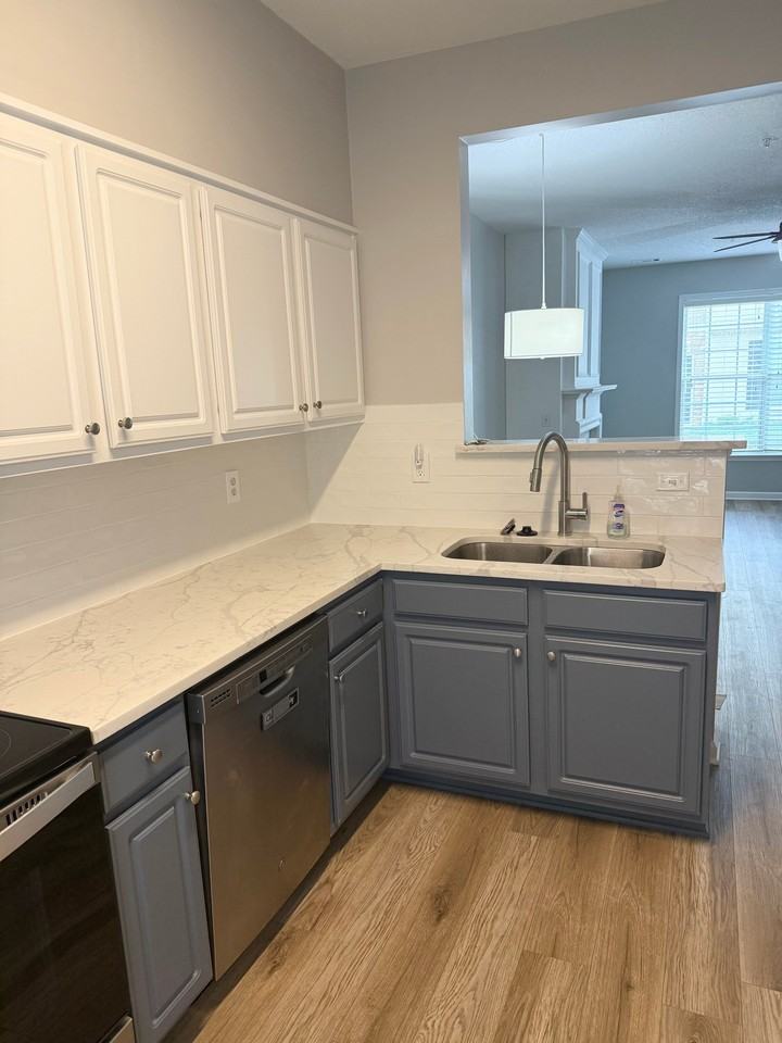 209 Riverstone Commons Cir - Photo 5 of 13