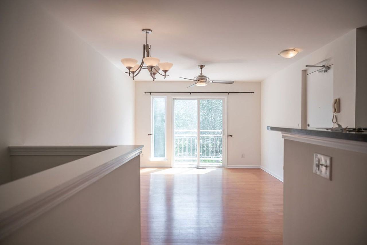 3945 Picasso Ct - Photo 3 of 13