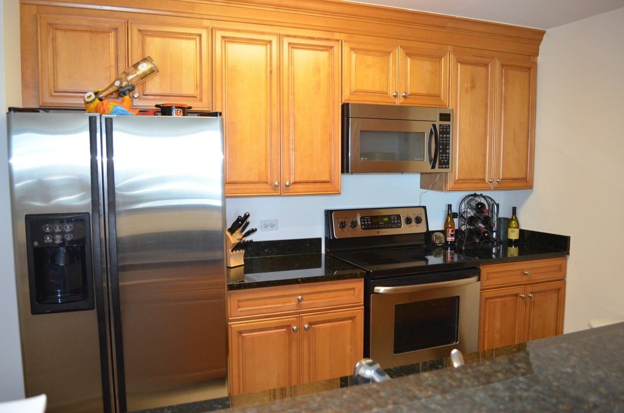 345 N La Salle Dr #4803 - Photo 6 of 21