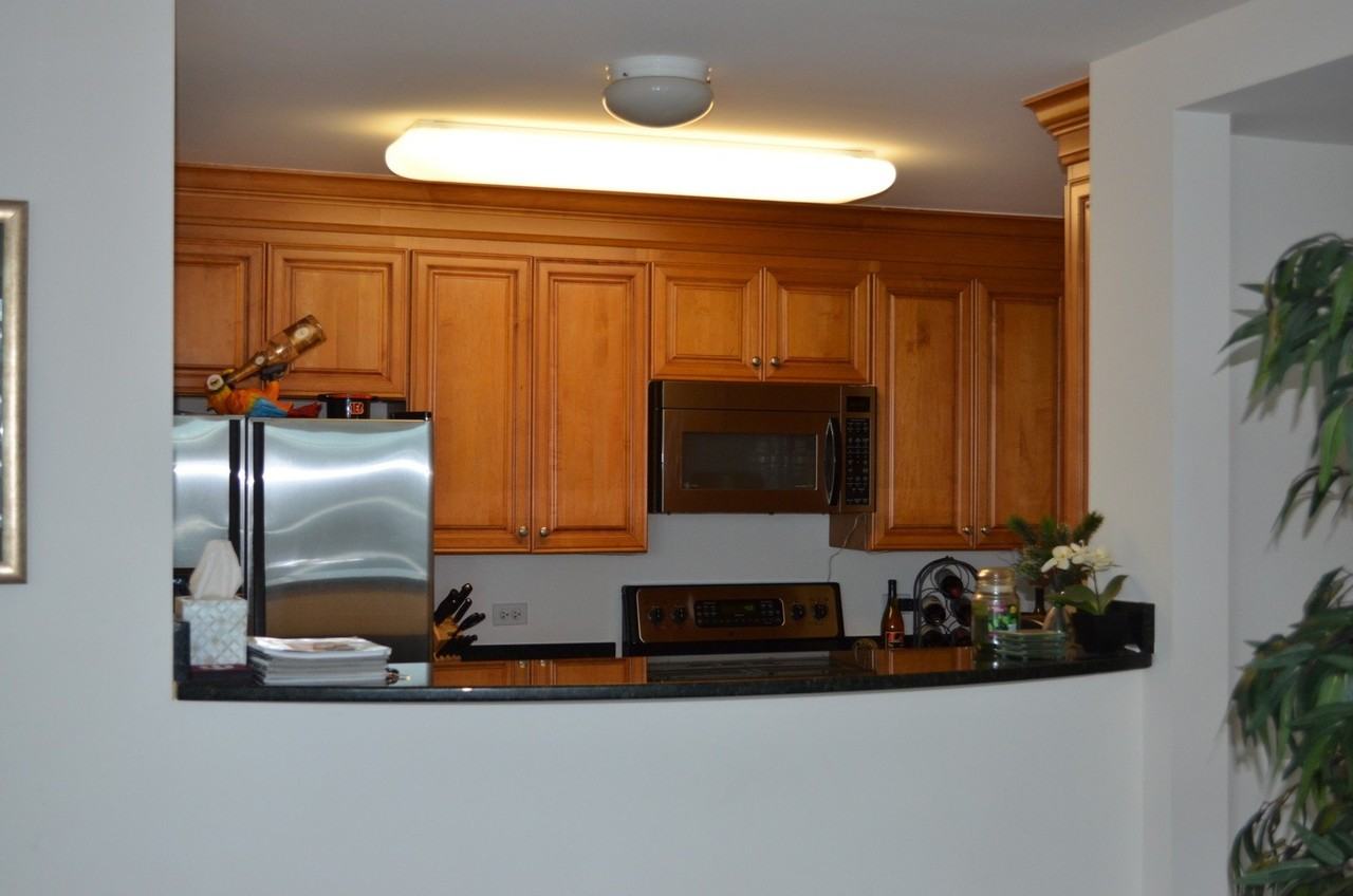 345 N La Salle Dr #4803 - Photo 7 of 21