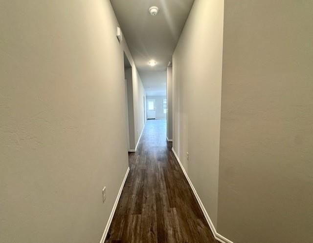3509 Pete Street - Photo 5 of 37