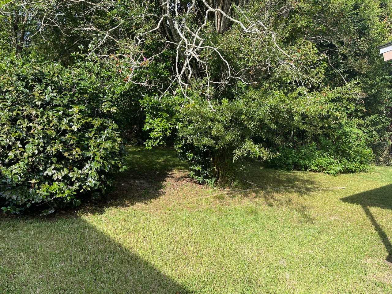 670 Preston St - Photo 3 of 11