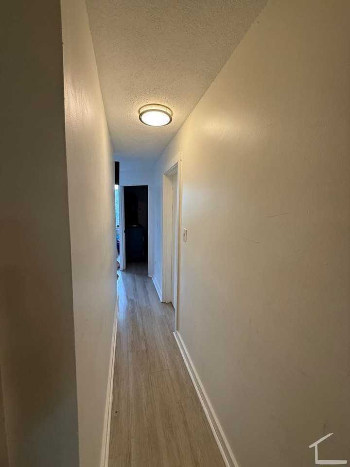 197 Cambridge St - Photo 3 of 18