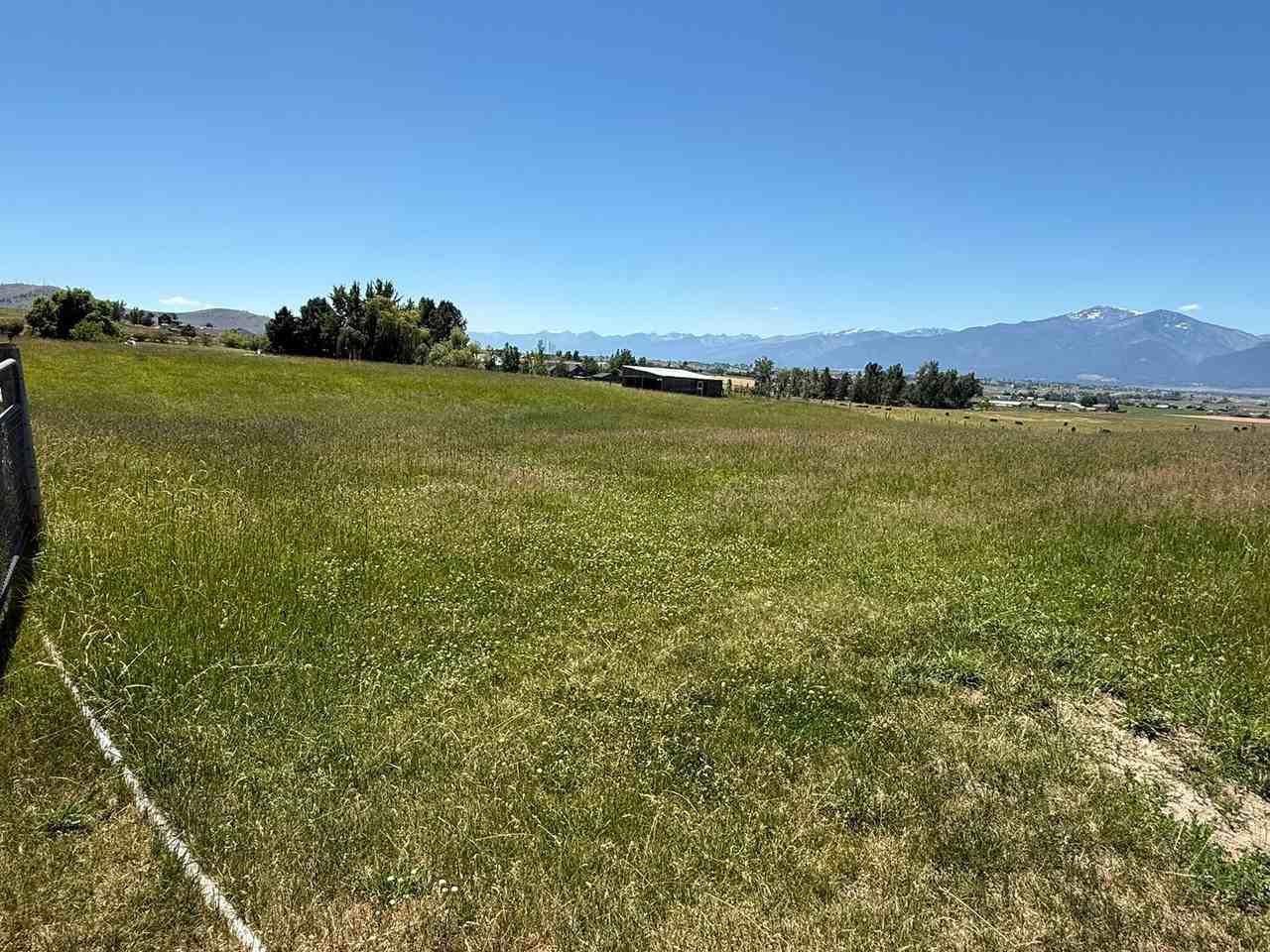 1206 Ambrose Creek Rd - Photo 2 of 46
