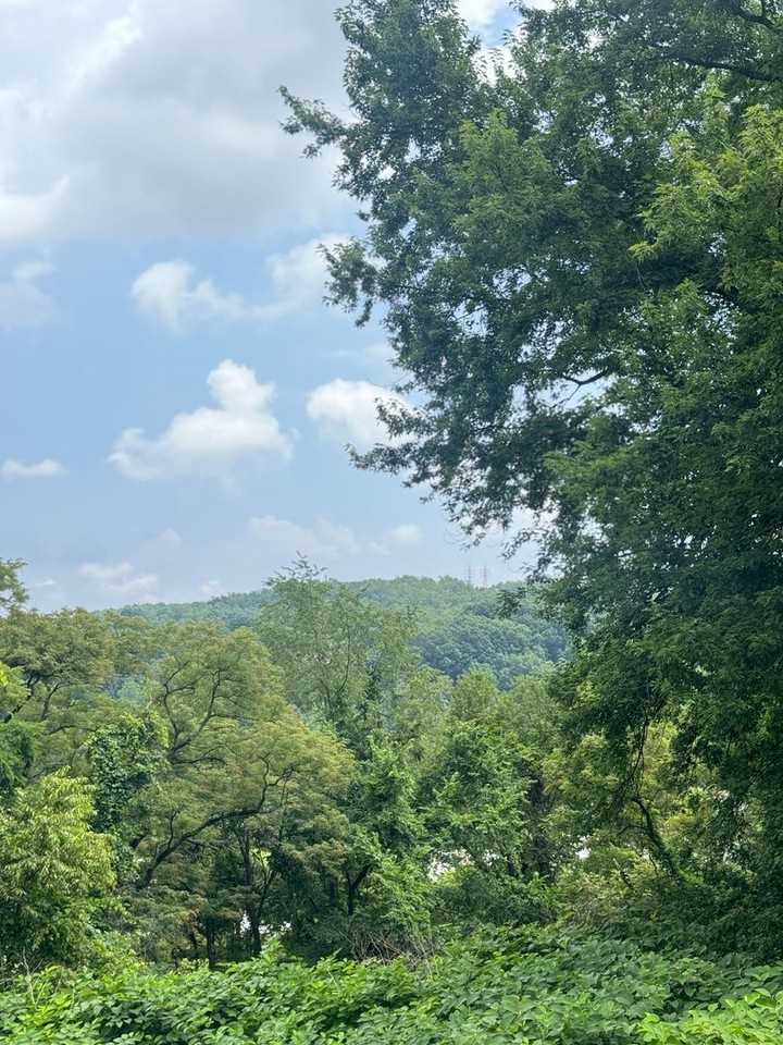 275 Greensburg Pike - Photo 4 of 9