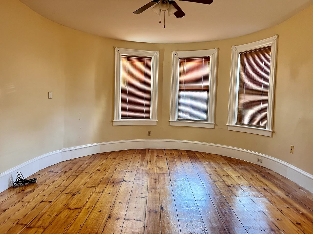 118 Palm St #1 - Photo 3 of 20