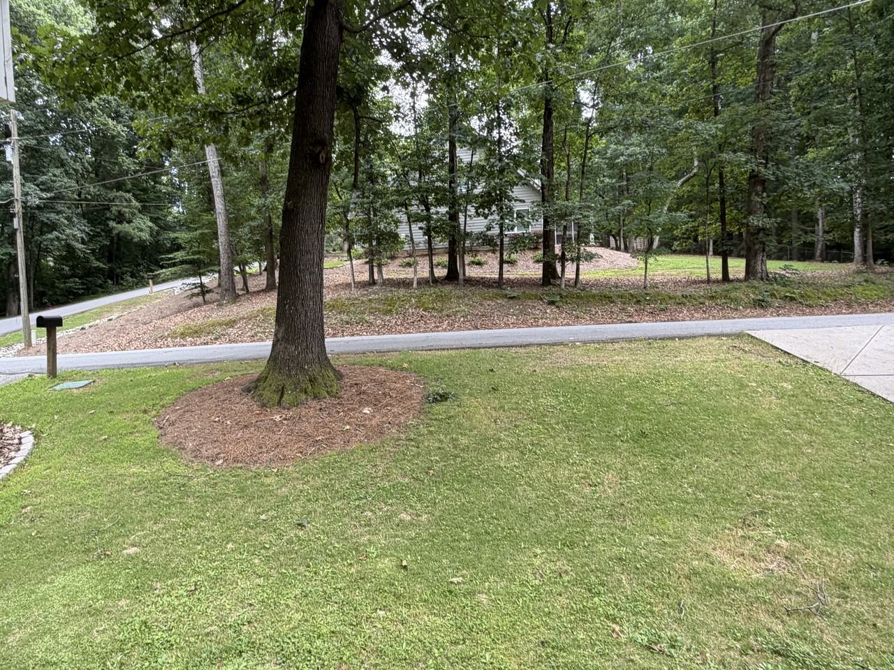 785 Timber Lake Trl #NA - Photo 6 of 50