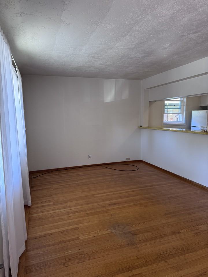 251 Miller Ave-A #A - Photo 3 of 20
