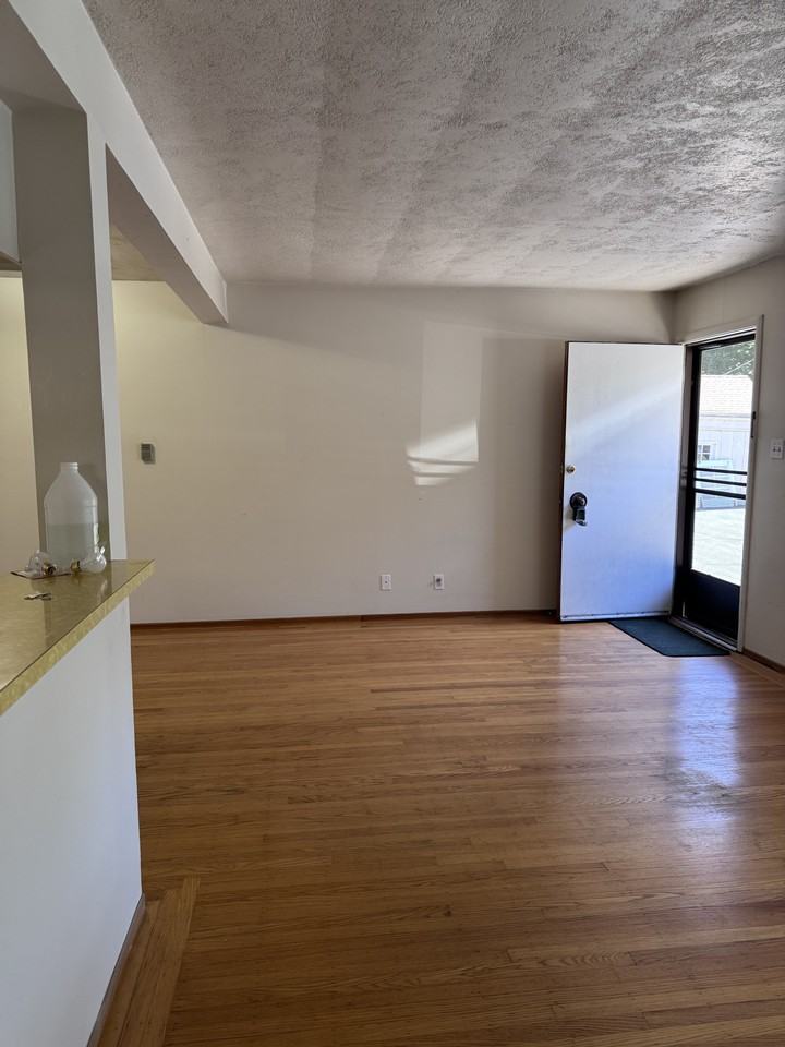 251 Miller Ave-A #A - Photo 4 of 20