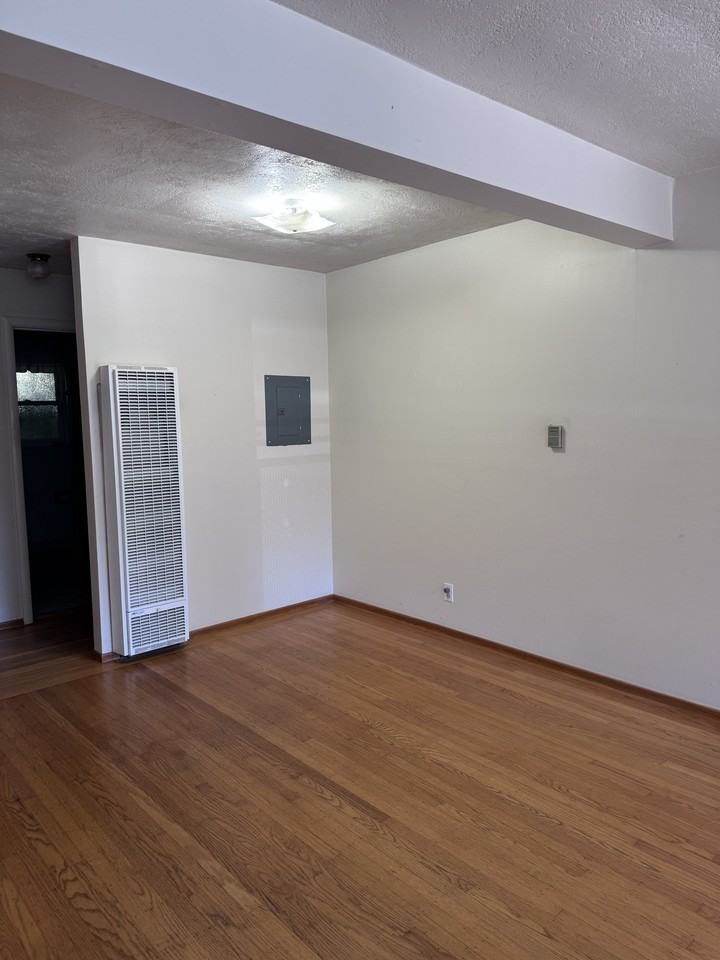 251 Miller Ave-A #A - Photo 5 of 20