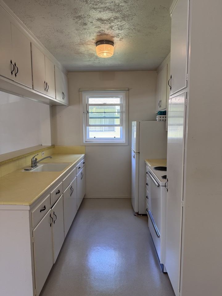 251 Miller Ave-A #A - Photo 6 of 20