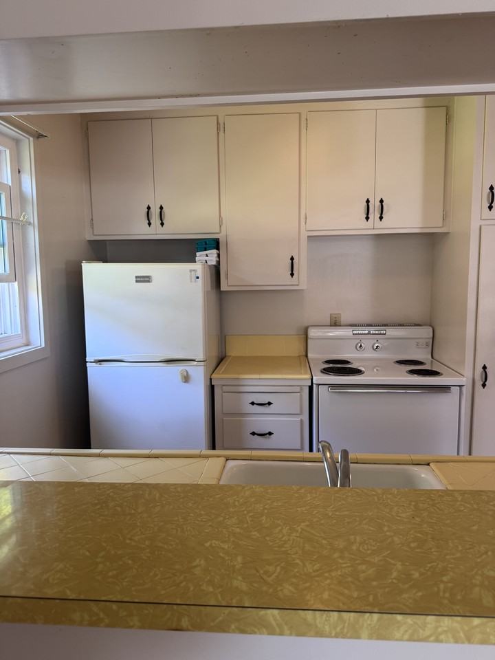 251 Miller Ave-A #A - Photo 7 of 20