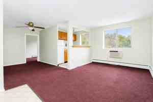 featured image of 284 MOON CLINTON ROADAPT 21 #21