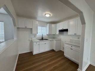 1309 W 96th St #1309 - Photo 3 of 17