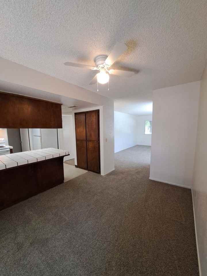 4779 N Cedar Ave #101 - Photo 7 of 25
