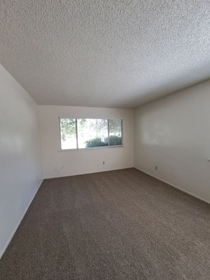 4779 N Cedar Ave #101 - Photo 7 of 24