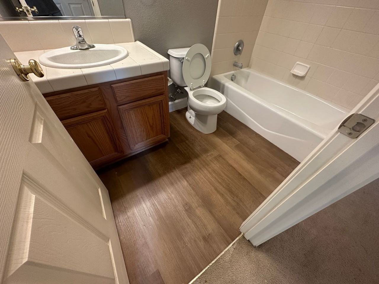 3929 Gossamer Way - Photo 7 of 20