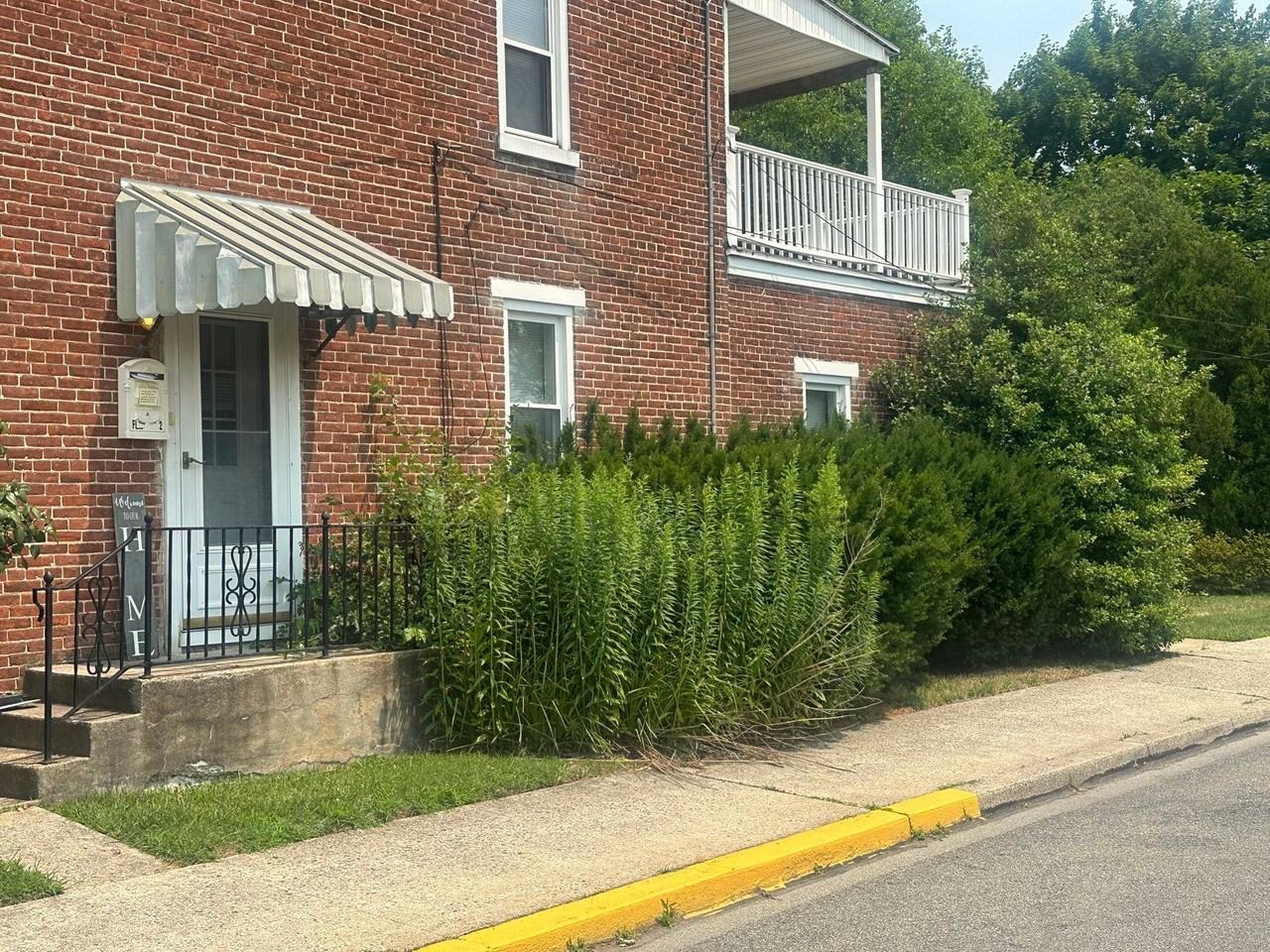 800 Tuckerton Ave #2 - Photo 2 of 21