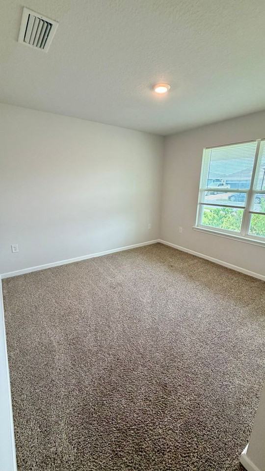 250 Boggy Creek Way - Photo 4 of 36